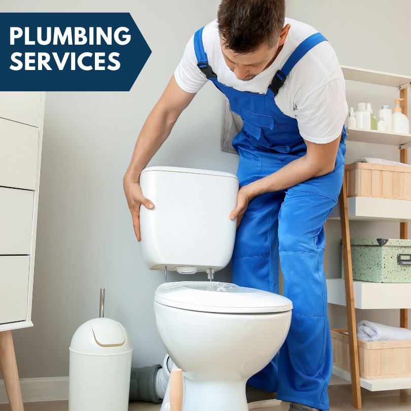 Plumbing Company in Wellington, CO